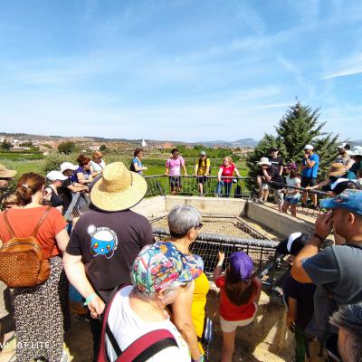 Processed 4e2ac118 9a14 4ab7 8cd9 5013482f7d3a 4pvcyovm