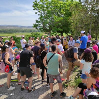 Processed 9ebe1d21 Ff97 4bd7 Aa6f A6ebaeb60de9 Cfotfgb4