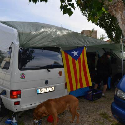 578520 596440603751806 1609394309 N