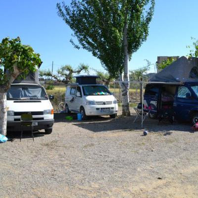 1378440 596643937064806 488244230 N