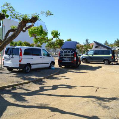 15093 596643630398170 980791475 N